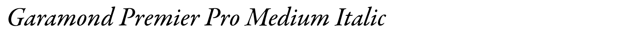 Garamond Premier Pro Medium Italic image